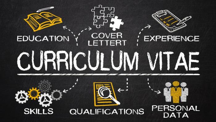 Podsumowanie zawodowe w CV - Dokumenty aplikacyjne